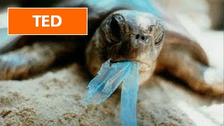 [TED] Dianna Cohen: Tough truths about plastic pollution