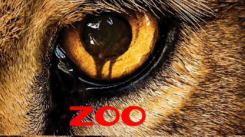 Zoo - Season 1