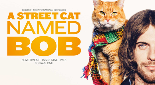 A Street Cat Named Bob (2016)