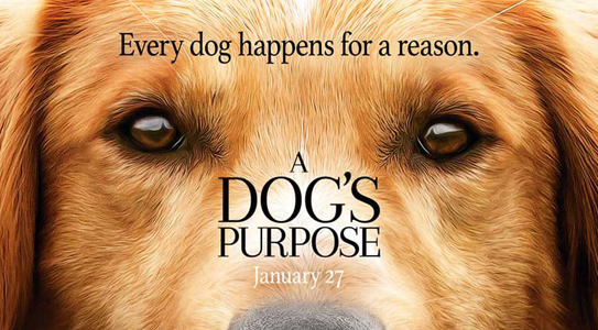 A Dog's Purpose (2017)