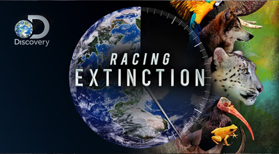 Racing Extinction (2015)