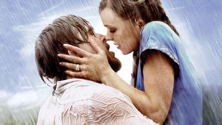 THE NOTEBOOK 