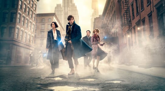 Fantastic Beasts and Where to Find Them (2016)