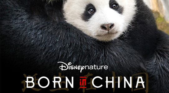 Born in China (2016)