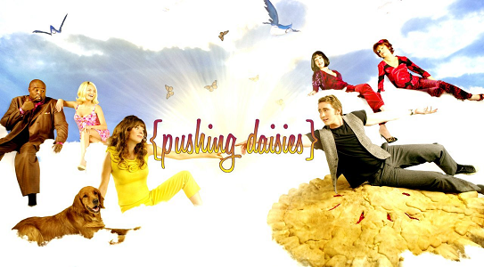 Pushing Daisies ( season 2 )