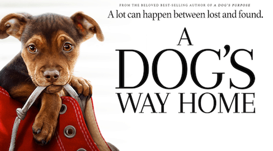 A Dog's Way Home (2019)