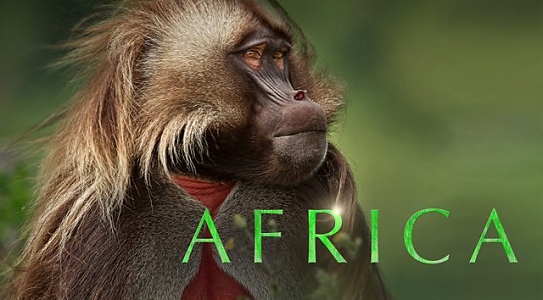 BBC David Attenborough's Africa