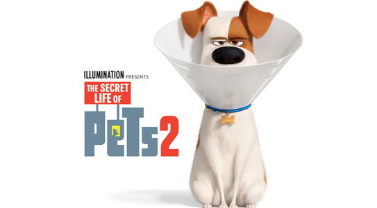 The Secret Life of Pets 2 (2019)