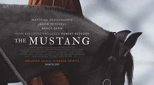 The Mustang (2019)