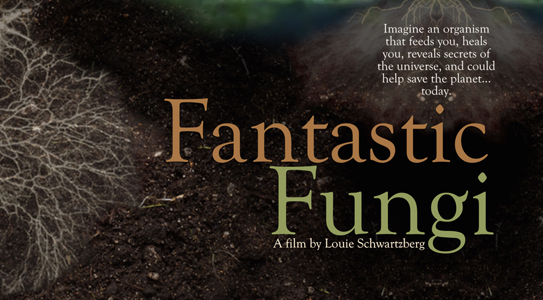 Fantastic Fungi (2019)