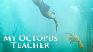 My Octopus Teacher (2020)