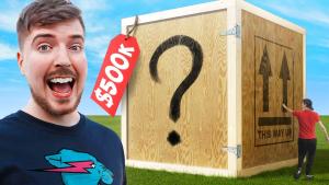 I Bought The World's Largest Mystery Box!