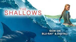 The Shallows (2016) - Fix